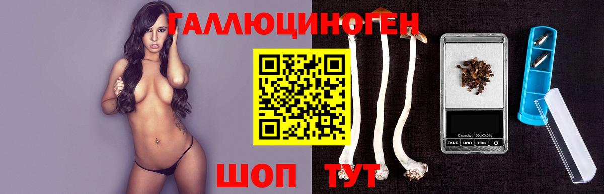 A-PVP Сертолово