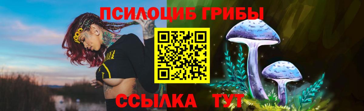 Псилоцибиновые грибы MAGIC MUSHROOMS Сертолово